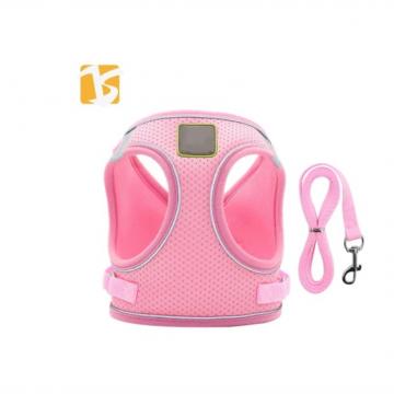 Arnes malla LILI xs