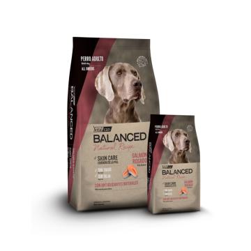Balanced Perro Salmon rosado 15kg