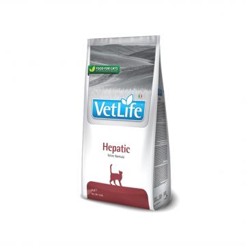 Vetlife Can Hepatic 2kg