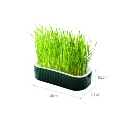 germinador con semillas